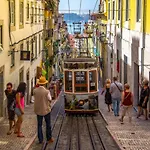 Comfy @ Chiado